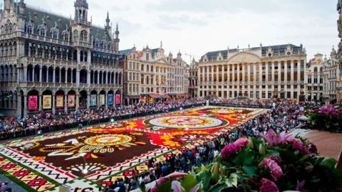 En 2022, des chrysanthèmes et autres fleurs de Flandre se sont ajoutés aux traditionnels bégonias et dahlias. ©ASBL